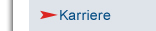 Karriere